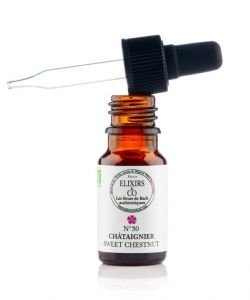 Châtaignier - Sweet Chestnut (n°30) BIO, 10 ml